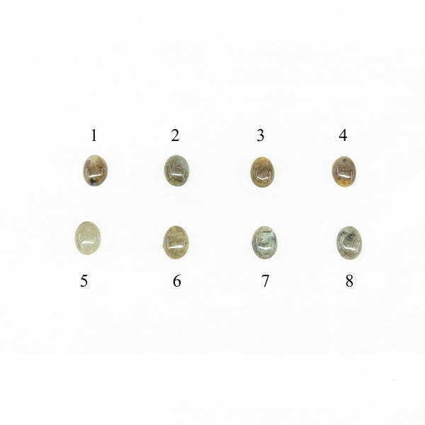 印台コンチョ ラブラドライド13x18