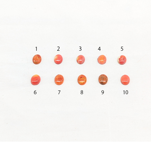 印台コンチョ 8x10 アップルコーラル