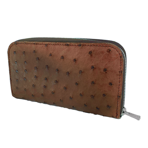 2025限定 FRFスマート オーストリッチ