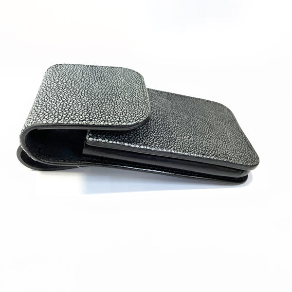 スマートフォンケースBIG 銀擦りエイ