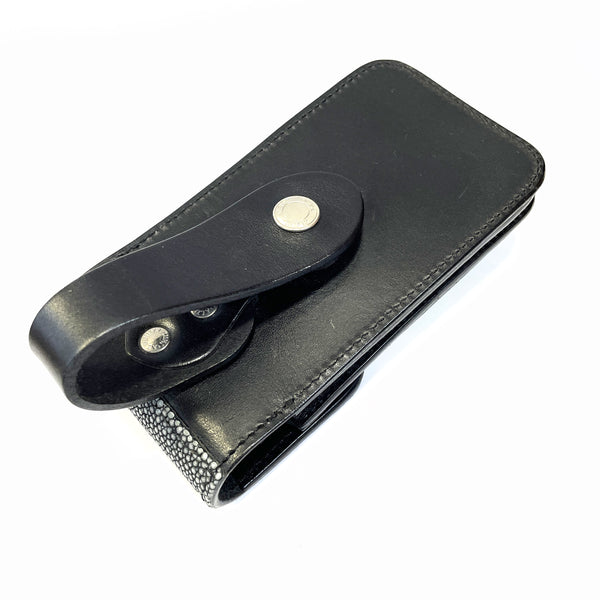 スマートフォンケースBIG 銀擦りエイ