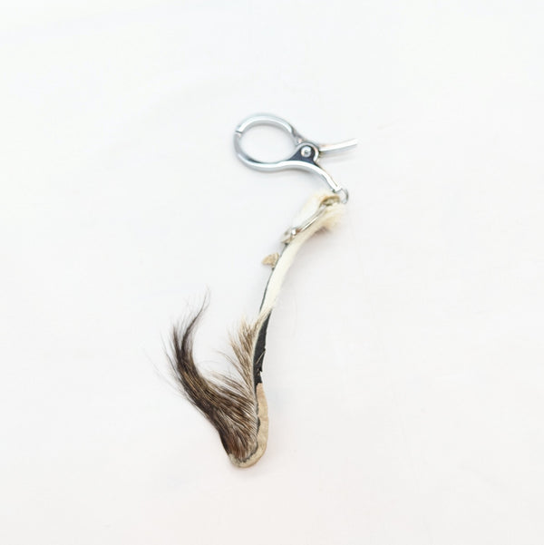 限定ミニトートバッグ スプリングボック