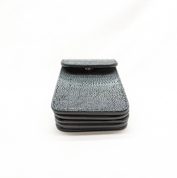 スマートフォンケースBIG W 銀擦りエイ