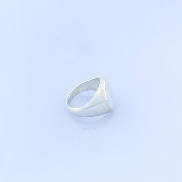 SVリング カレッジタイプ オーバルM silver950