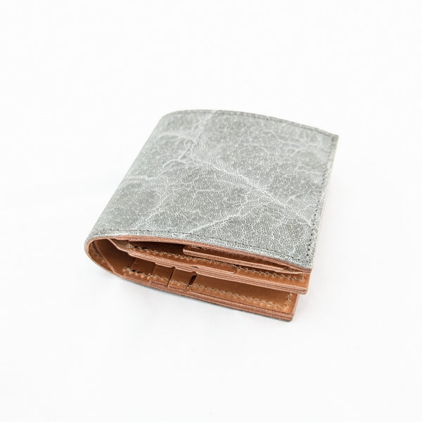 ショートBOX ゾウ