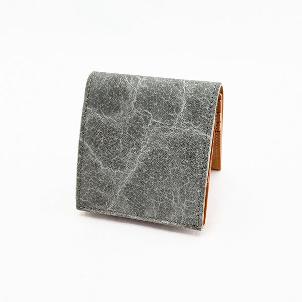 ショートBOX ゾウ