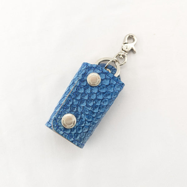 限定 スマートキーホルダー ナイルパーチ