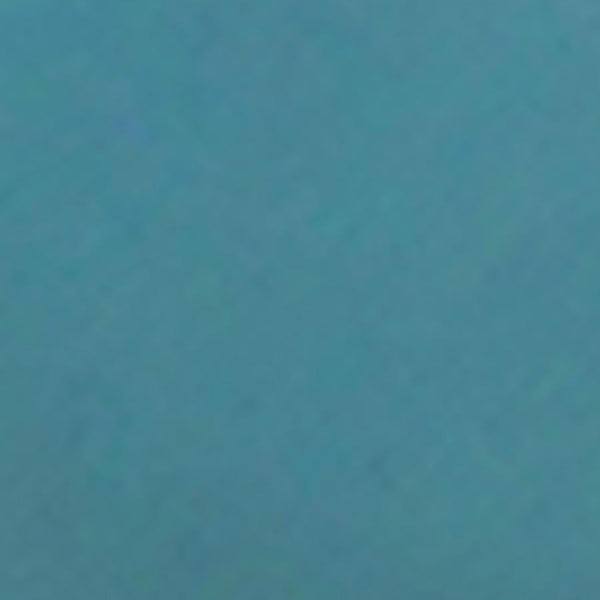 プチウォレット フロッグ