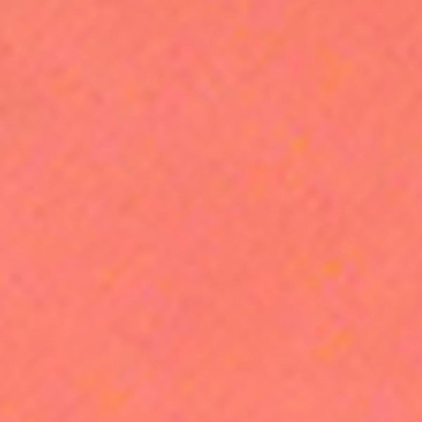 プチウォレット フロッグ