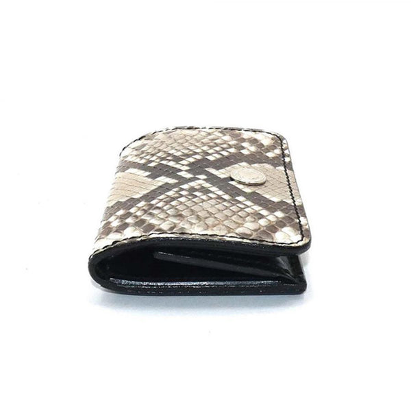 4111 BOXコインケース カードポケット パイソン