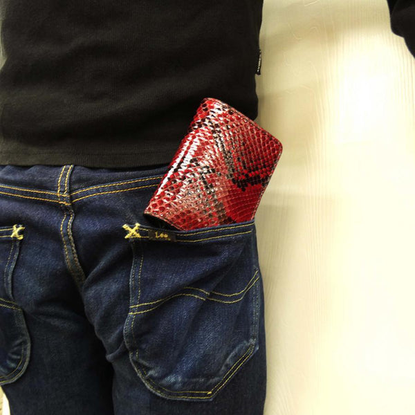 ハーフBOX パイソン