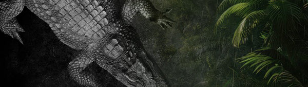 ワニ革コレクション｜クロコダイルレザー（Crocodile Leather）