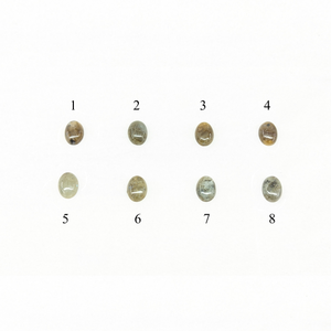 印台コンチョ　ラブラドライド10x14