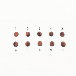 印台コンチョ　レッドタイガーアイ8x10