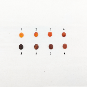 印台コンチョ　カーネリアン8x10