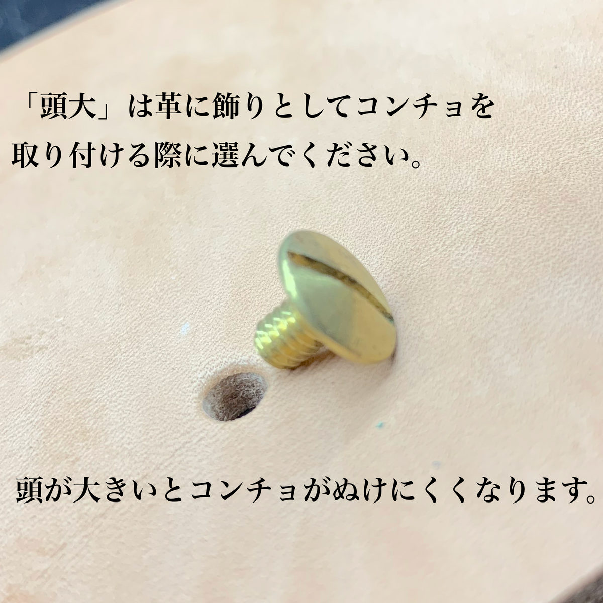 SVコンチョ (クロスボーンスカル）
