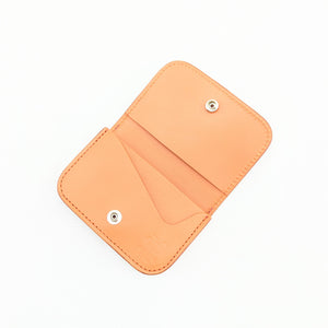 限定　1355タイプ　名刺入れ　B/Cパイソン　