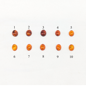 印台コンチョ　アンバー8x10