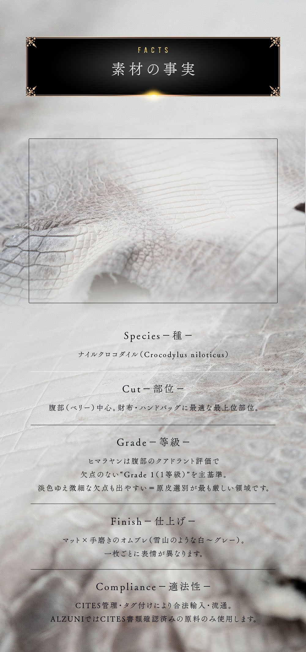 ALZUNI公式】ヒマラヤン ナイルクロコ｜白銀のグラデーションが美しい