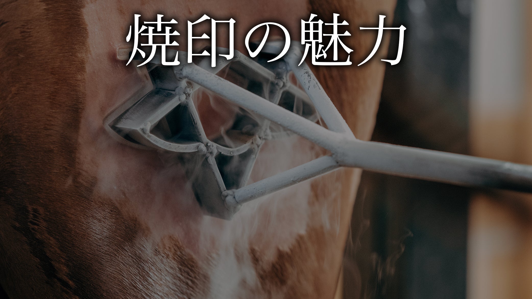 焼印 – ALZUNI ONLINE SHOP