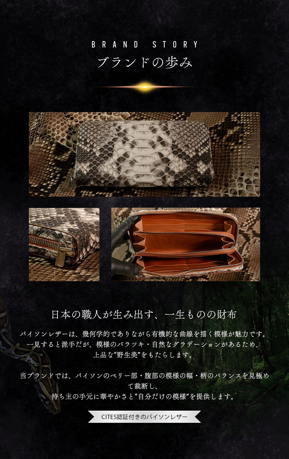 ALZUNI公式】バックカットパイソン財布｜錦ヘビ革使用の日本製長財布