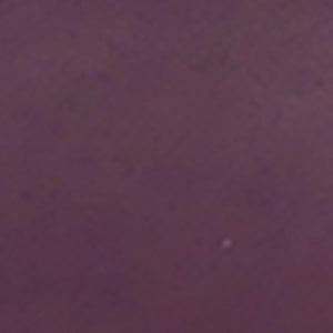 プチウォレット フロッグ