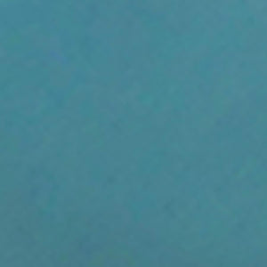 プチウォレット フロッグ