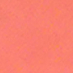 プチウォレット フロッグ